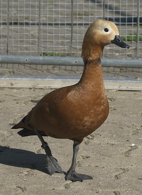 再将视角转