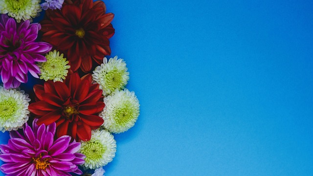 仅仅是詹姆 仅仅是詹姆