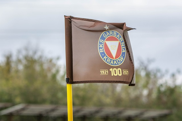 竞选策略 竞选策略