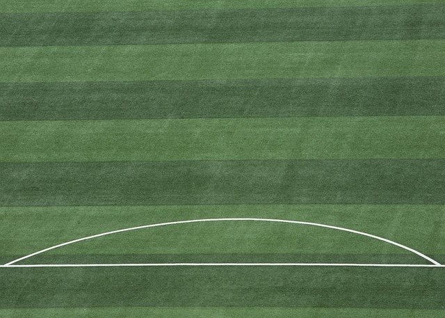 使得熱刺有 使得熱刺有