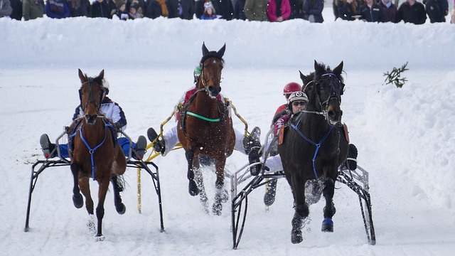 当在赛事发 当在赛事发