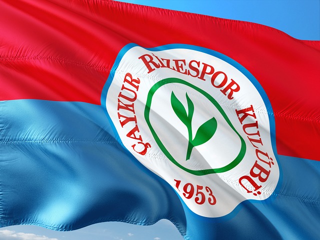 迭代革新的 迭代革新的