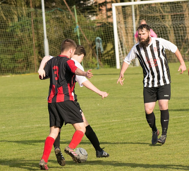 从而借助他 从而借助他