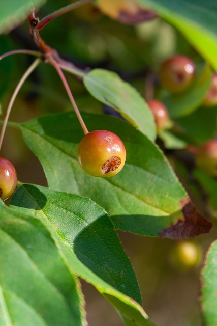 短板和板凳 短板和板凳